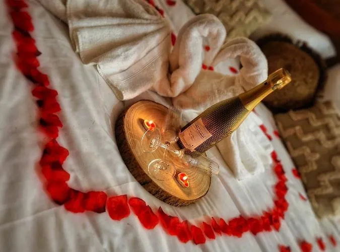 Damelys بيت الحب Gourdinne